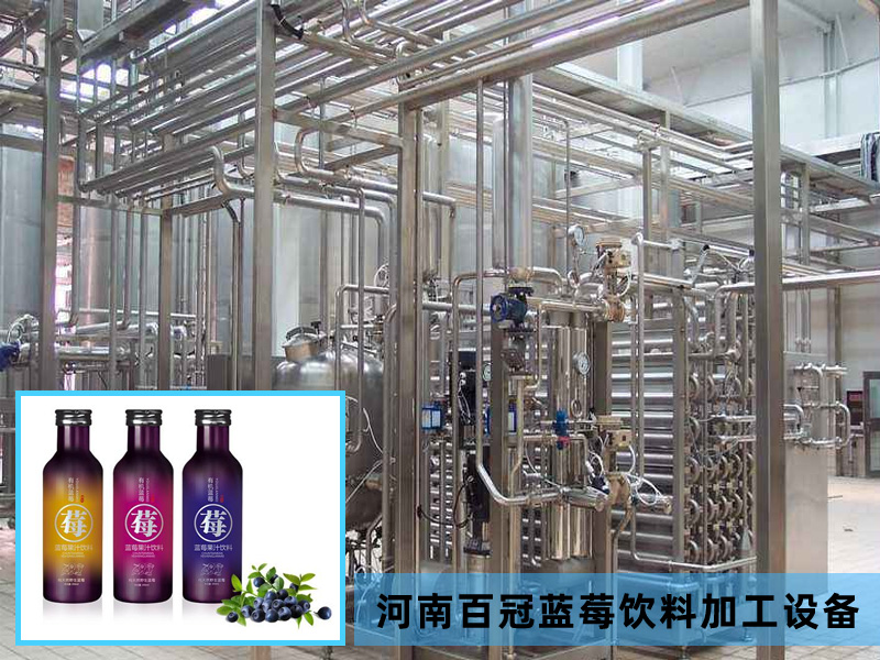 全套藍(lán)莓飲料加工設(shè)備價(jià)格廠家直銷,河南百冠2020款新品上市